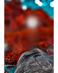 Real cb background free