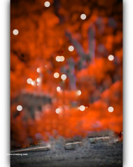 Real cb editing backgrounds