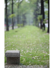 Realstic new hd editing background