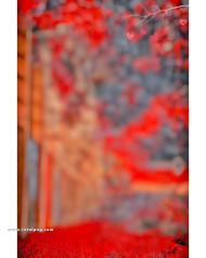 Red cb editing background free download