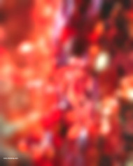 Red hd cb editing background