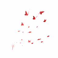 Rede butterfly png