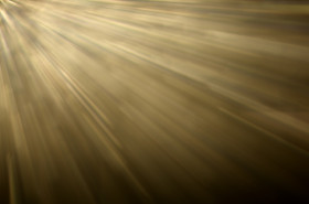 Reys transparent png