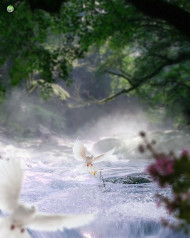 River hd editing background