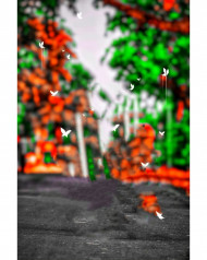 Road cb editing background