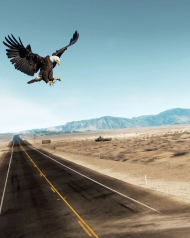 Road Desert background Free