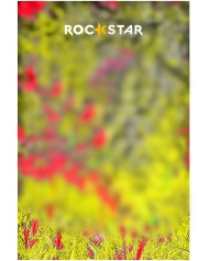 Rockstar hd cb backgrounds