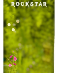 Rockstar hd new hd cb background