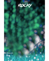 Rocky Cb Editing Background