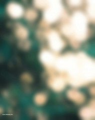 Rohit 09 cb editing background