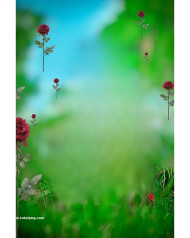 Rose cb background free download