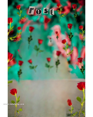 Rose cb background hd