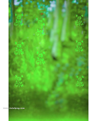 Rose cb backgrounds free