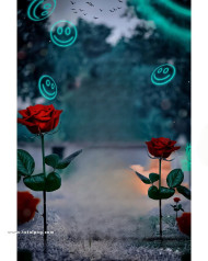 Rose cb editing background