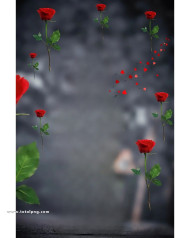 Rose cb editing background new