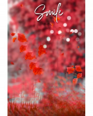 rose editing zone 25072022 0011 01