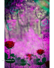 Rose new cb background