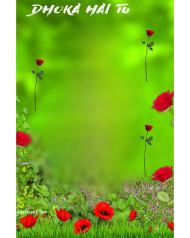 Roses cb editing background