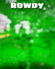 Rowdy Cb Editing Background