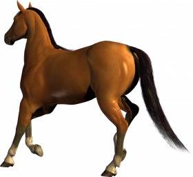 Running horse Horse transparent png