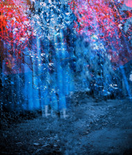 Sailesh editing Cb editing background download (1)