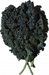 Salad eating transparent png img,Salad PNG Images