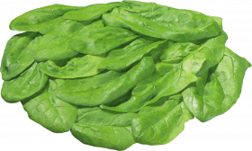 Salad PNG Images