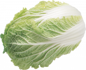 Salad tansparent background,Salad PNG Images