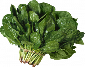 Salad transparent background,Salad PNG Images