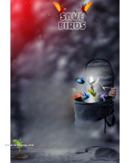 Save birds cb editing background download