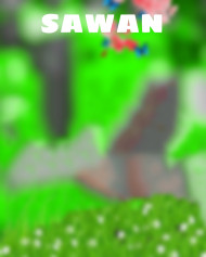 Sawan Cb Editing Background