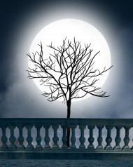 Scary Night Moon Backgrounds