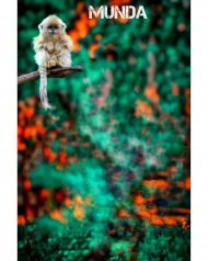 Sexy munda cb photo editing background