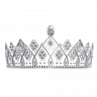 Silver white crown pmng (2)