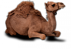 Sitting hd png download