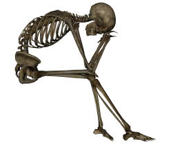 Skull body PNG Transparent Images