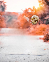 Skull cb background hd 2022