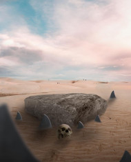 Skull desert editing backgrounds