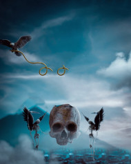 Skull editing background