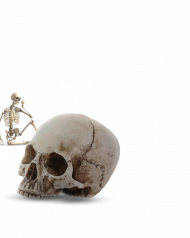 Skull hd png,Skull transparent png