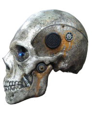 Skull PNG Transparent Images
