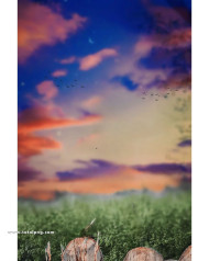 Sky cb background hd