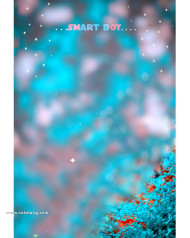 Smart boy cb editing background new