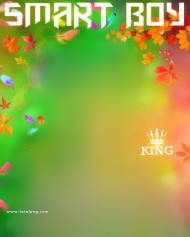 Smartboy cb background images