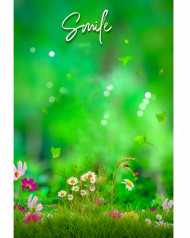 Smile nature cb editing background