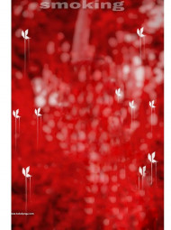 Smoking cb editing background snapseed