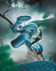 Snake editing background   Snake face cut background (2)