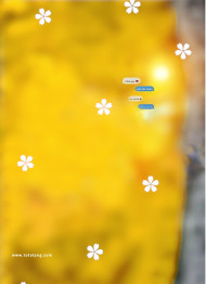 Snapseed background photo editing hd