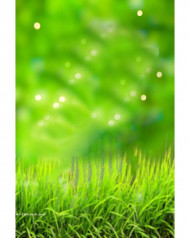 Snapseed Bokeh Effect Background Download