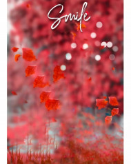 Snapseed cb background